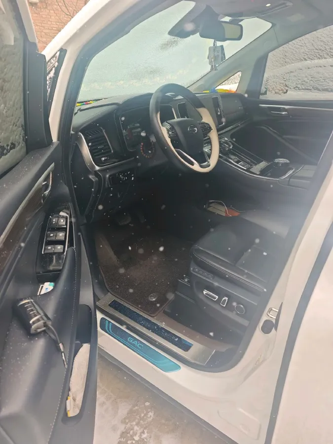 2021 GAC Trumpchi M8 2.0T 252HP L4 8AT,autocango,china used car exporter,china ev exporter,chinese used car exporter,chinese used ev exporter