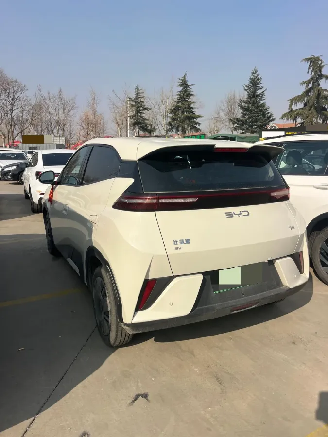 2025 BYD Seagull BEV 30.08KWH,autocango,china used car exporter,china ev exporter,chinese used car exporter,chinese used ev exporter