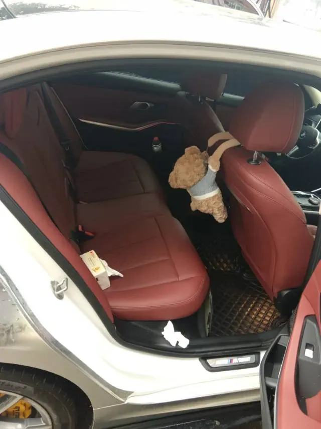 2024 BMW 3 Series 2.0T 184HP L4 8AT,autocango,china used car exporter,china ev exporter,chinese used car exporter,chinese used ev exporter