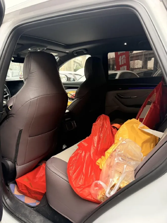 2021 SRM Sea Lion EV BEV 41.86KWH,autocango,china used car exporter,china ev exporter,chinese used car exporter,chinese used ev exporter