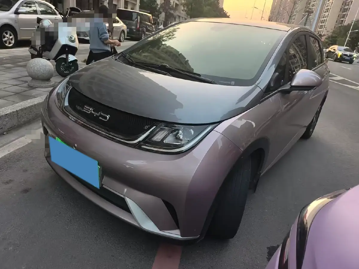 2021 BYD Yuan Pro BEV 50.1KWH