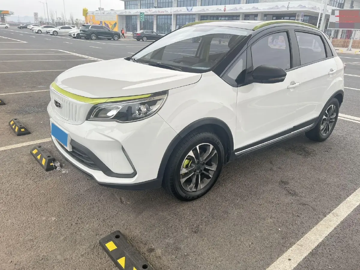 2021 Geometry EX3 BEV 37.23KWH