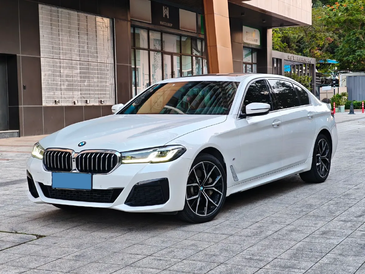 2021 BMW 5 Series 2.0T 252HP L4 8AT,autocango,china used car exporter,china ev exporter,chinese used car exporter,chinese used ev exporter