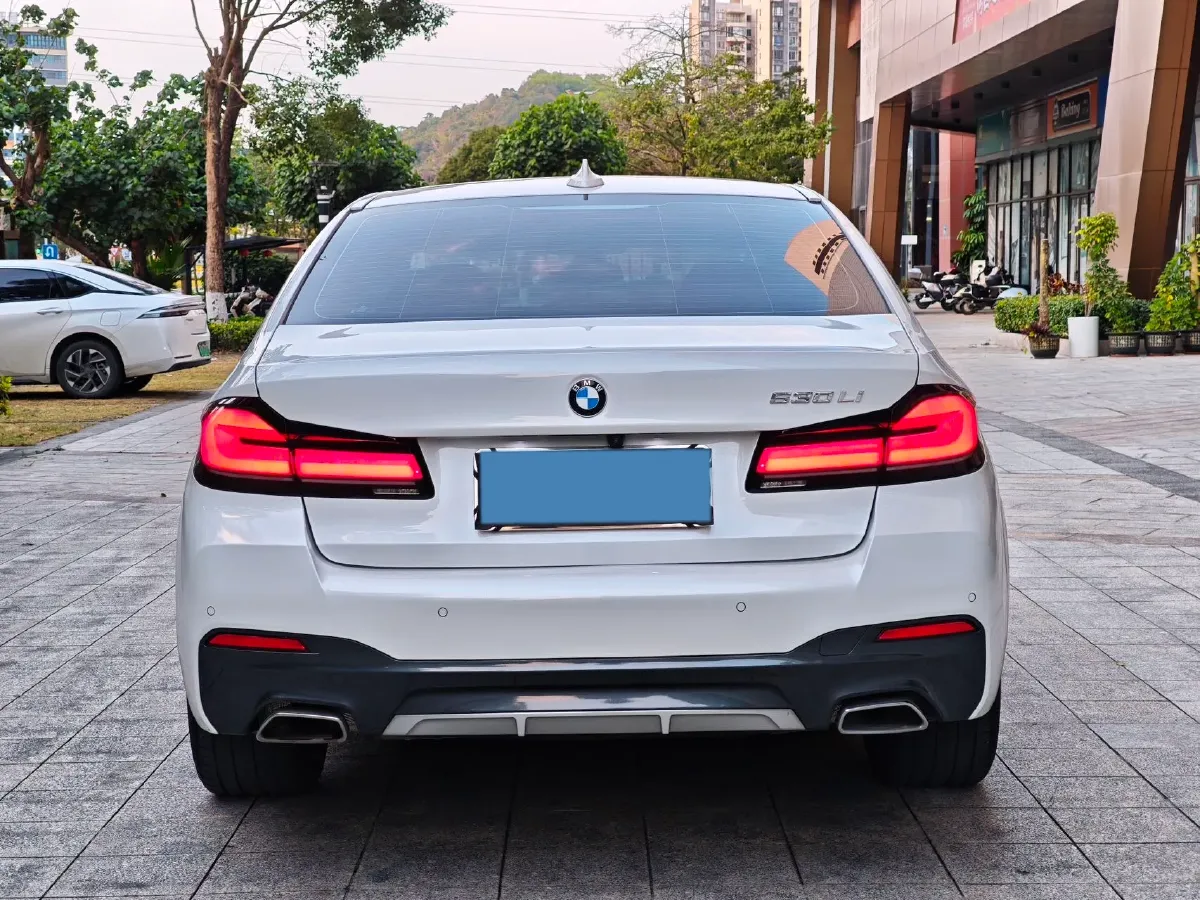 2021 BMW 5 Series 2.0T 252HP L4 8AT,autocango,china used car exporter,china ev exporter,chinese used car exporter,chinese used ev exporter