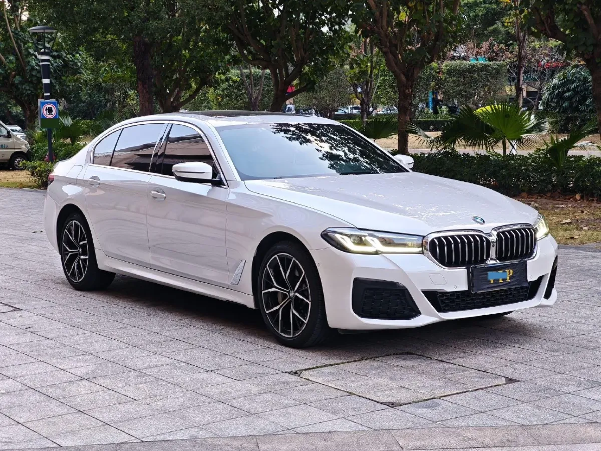 2021 BMW 5 Series 2.0T 252HP L4 8AT,autocango,china used car exporter,china ev exporter,chinese used car exporter,chinese used ev exporter