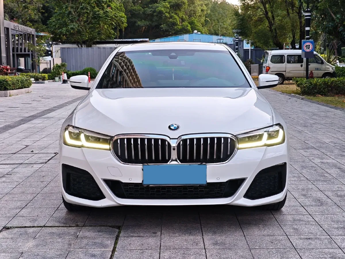 2021 BMW 5 Series 2.0T 252HP L4 8AT,autocango,china used car exporter,china ev exporter,chinese used car exporter,chinese used ev exporter