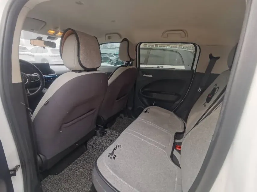 2020 Ora WhiteCat BEV 29.4KWH,autocango,china used car exporter,china ev exporter,chinese used car exporter,chinese used ev exporter