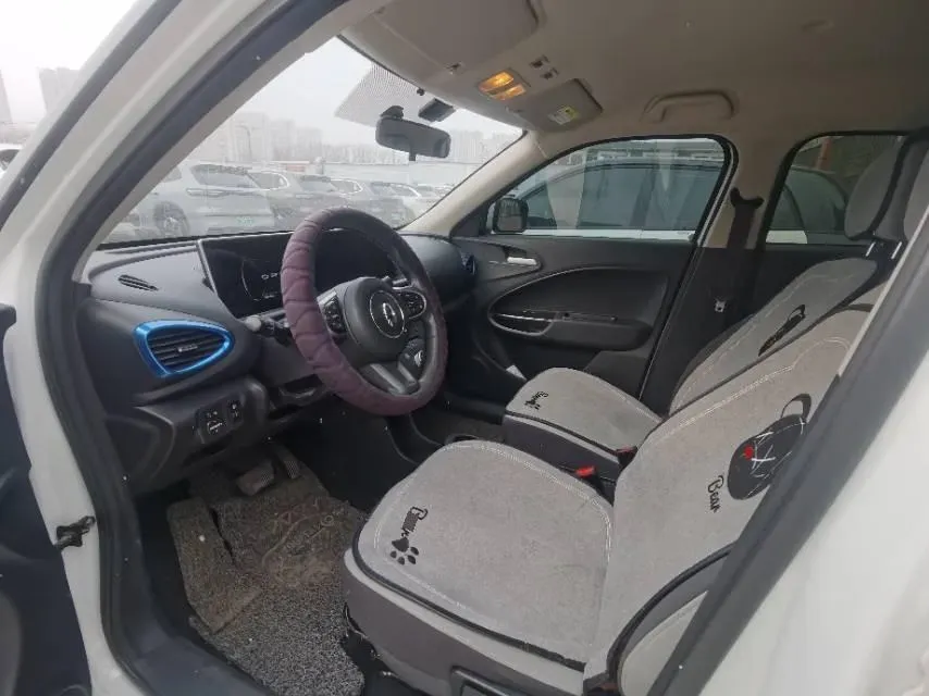 2020 Ora WhiteCat BEV 29.4KWH,autocango,china used car exporter,china ev exporter,chinese used car exporter,chinese used ev exporter