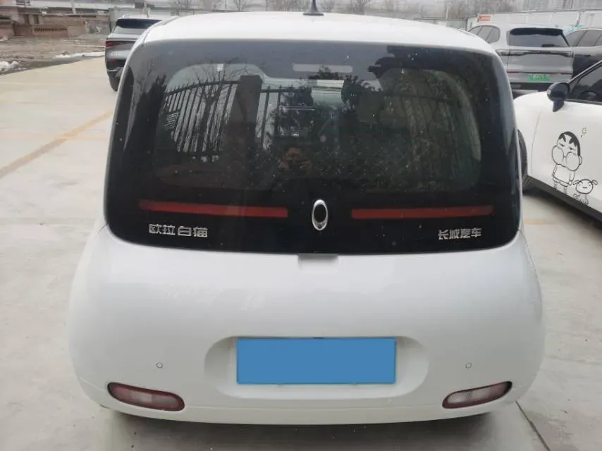 2020 Ora WhiteCat BEV 29.4KWH,autocango,china used car exporter,china ev exporter,chinese used car exporter,chinese used ev exporter