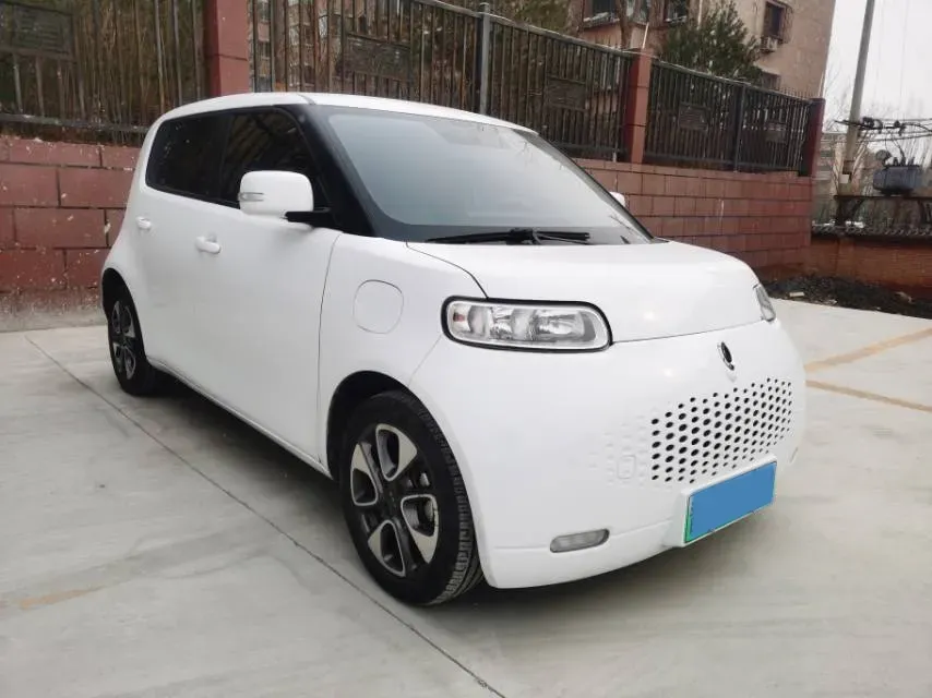 2020 Ora WhiteCat BEV 29.4KWH,autocango,china used car exporter,china ev exporter,chinese used car exporter,chinese used ev exporter