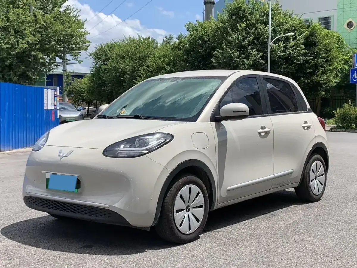 2024 WuLing BinGuo BEV 17.3KWH