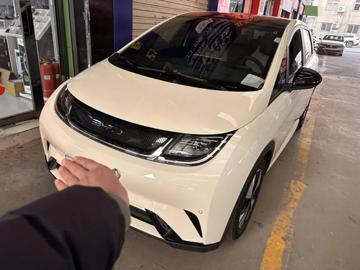 2023 BYD Dolphin BEV 44.928KWH