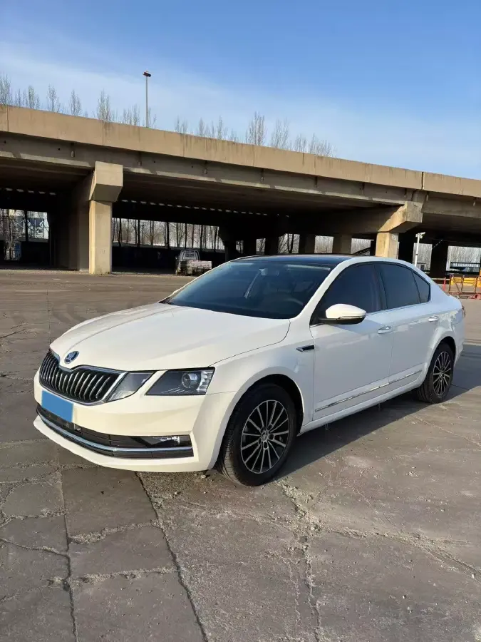 2019 Skoda Octavia 1.5L 116HP L4 6AT