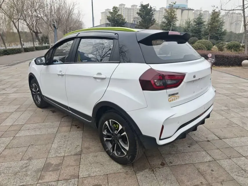 2021 Geometry EX3 BEV 37.23KWH,autocango,china used car exporter,china ev exporter,chinese used car exporter,chinese used ev exporter