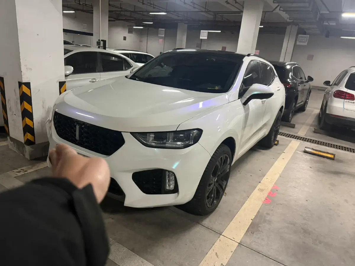 2017 WEY VV5 2.0T 197HP L4 7DCT