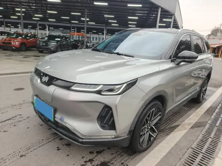 2020 Weltmeister EX6 BEV,autocango,china used car exporter,china ev exporter,chinese used car exporter,chinese used ev exporter