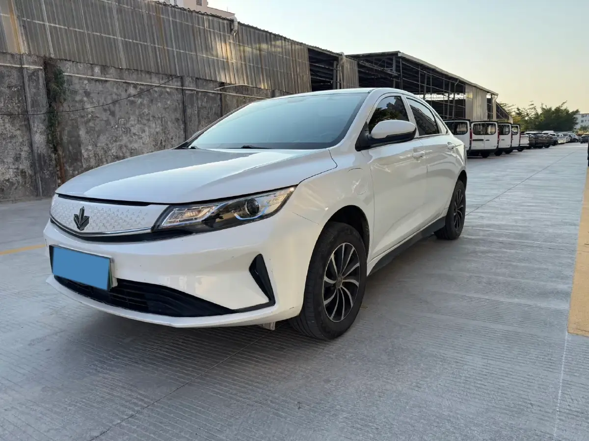 2022 Livan Maple 60s PRO BEV 51.8KWH