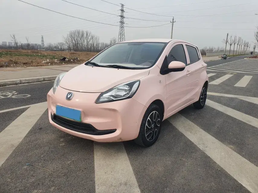 2021 ChangAn BenBen E-Star BEV 31.95KWH