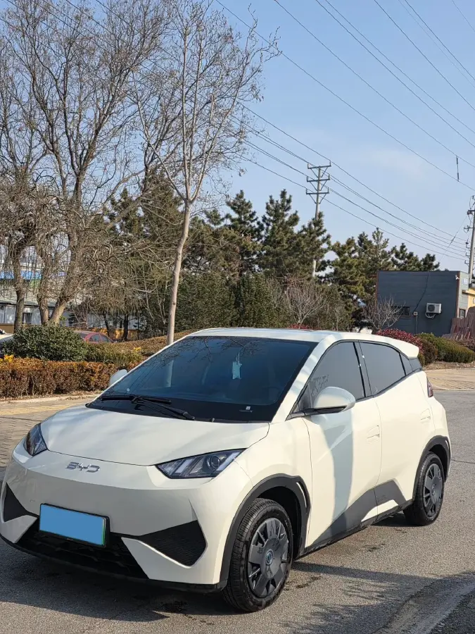 2025 BYD Seagull BEV 30.08KWH