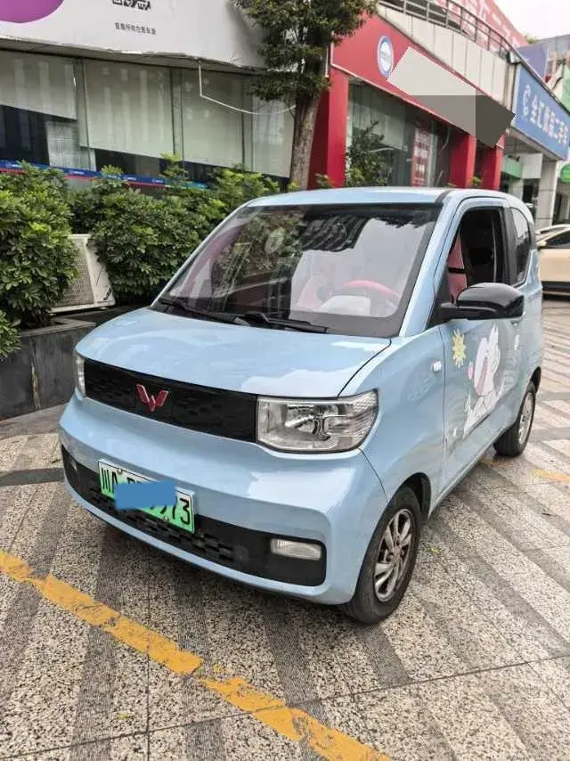2020 WuLing HongGuang MINI EV BEV 13.8KWH