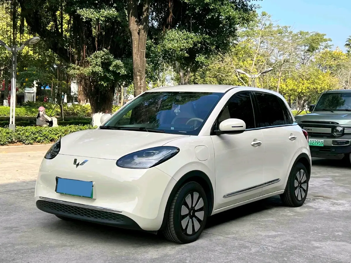 2025 WuLing BinGuo BEV