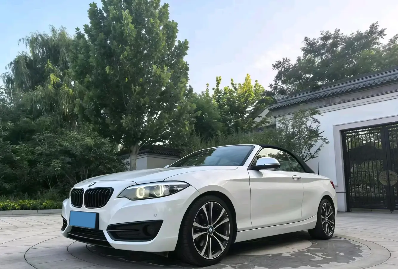 2019 BMW 2 Series 2.0T 184HP L4 8AT