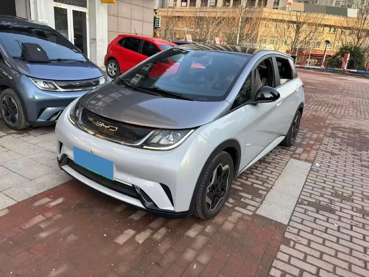 2021 BYD Yuan Pro BEV 50.1KWH