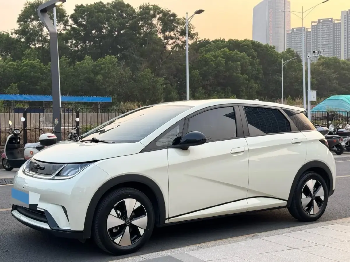 2023 BYD Dolphin BEV 44.928KWH