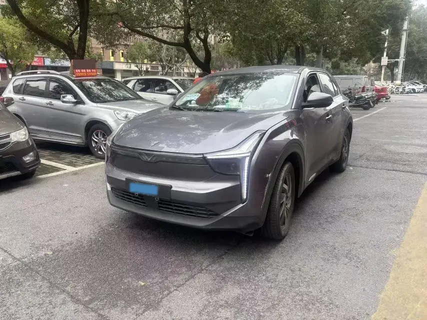 2022 Neta U BEV 55.8KWH
