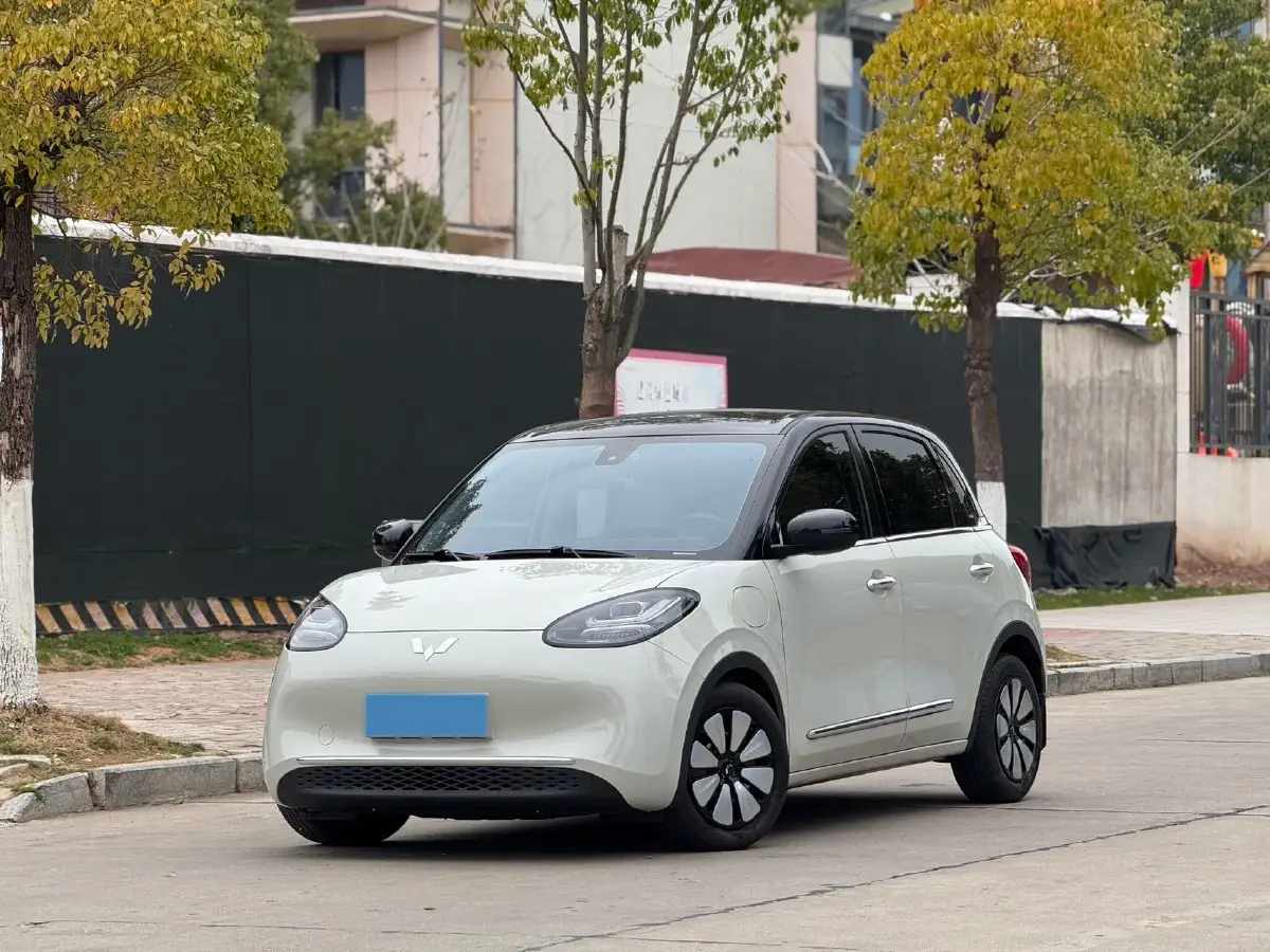 2023 WuLing BinGuo BEV 31.9KWH
