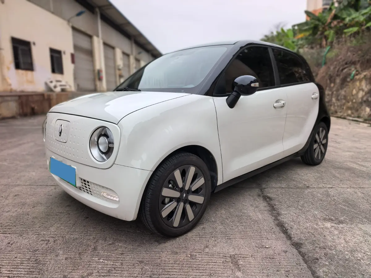 2021 Ora BlackCat BEV 33KWH