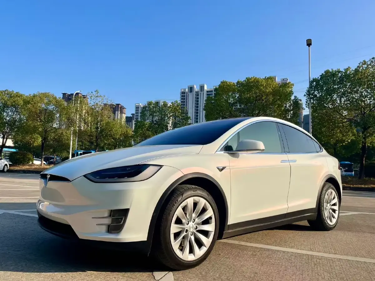 2019 Tesla Model X BEV 100KWH