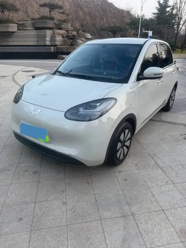 2025 WuLing BinGuo BEV