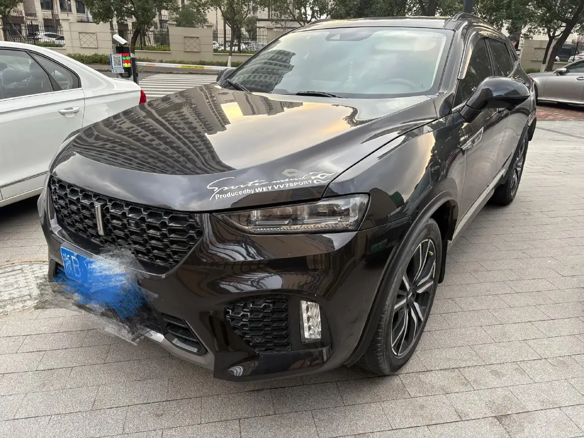 2019 WEY VV7 2.0T 227HP L4 7DCT
