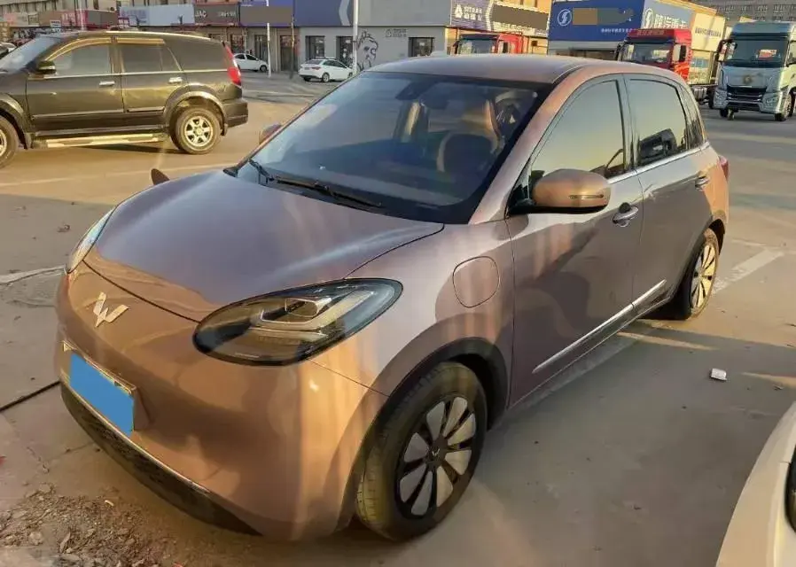 2023 WuLing BinGuo BEV 31.9KWH