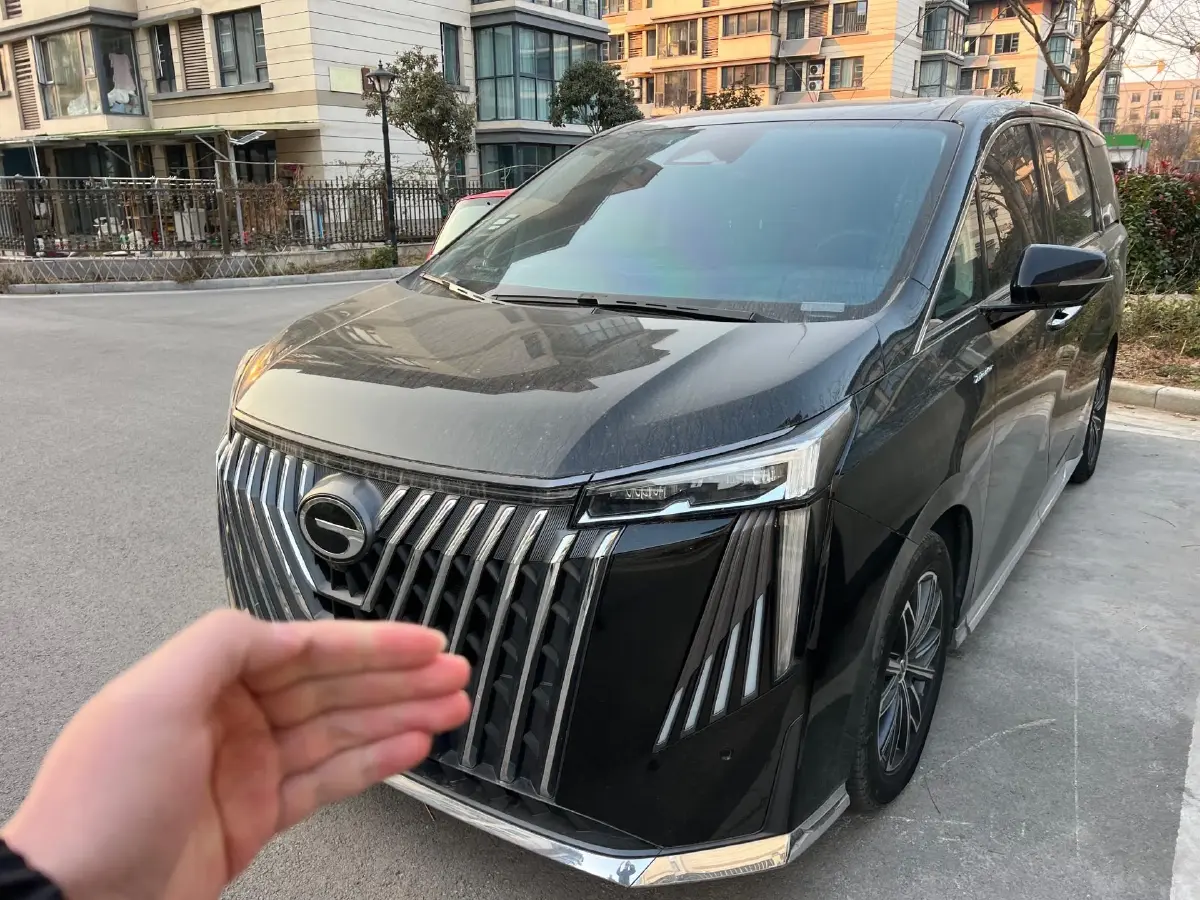 2024 GAC Trumpchi M8 2.0T 252HP L4 8AT