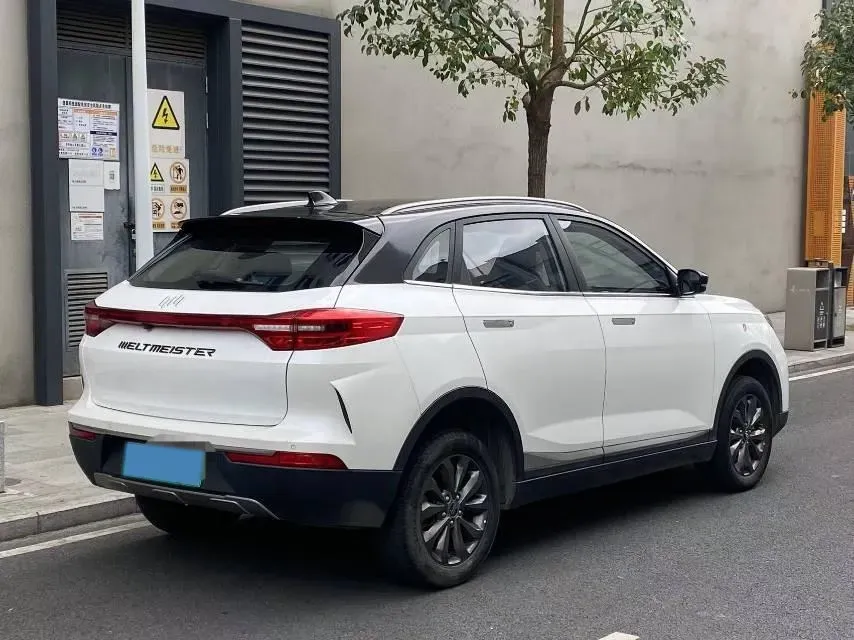 2019 Weltmeister EX5 BEV 52.56KWH,autocango,china used car exporter,china ev exporter,chinese used car exporter,chinese used ev exporter