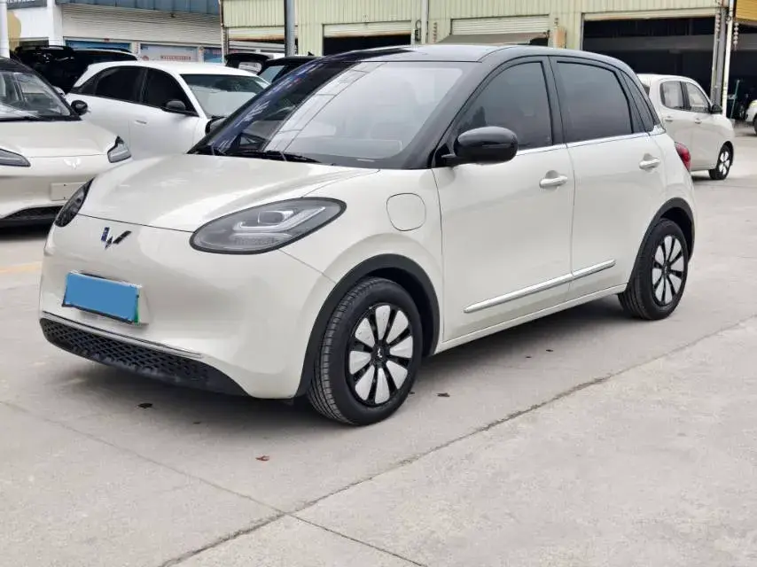 2023 WuLing BinGuo BEV 31.9KWH