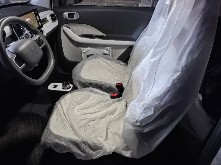 2025 Geely Galaxy Panda BEV,autocango,china used car exporter,china ev exporter,chinese used car exporter,chinese used ev exporter