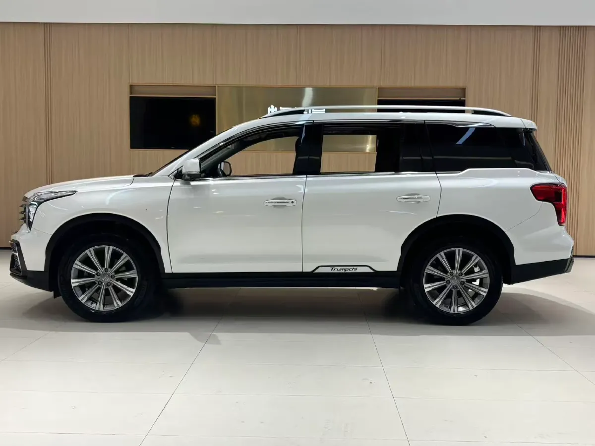 2019 GAC Trumpchi GS8 2.0T 252HP L4 6AT,autocango,china used car exporter,china ev exporter,chinese used car exporter,chinese used ev exporter
