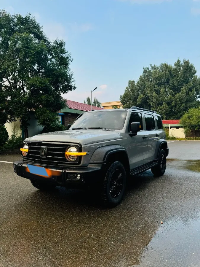 2021 Tank 300 2.0T 227HP L4 8AT,autocango,china used car exporter,china ev exporter,chinese used car exporter,chinese used ev exporter