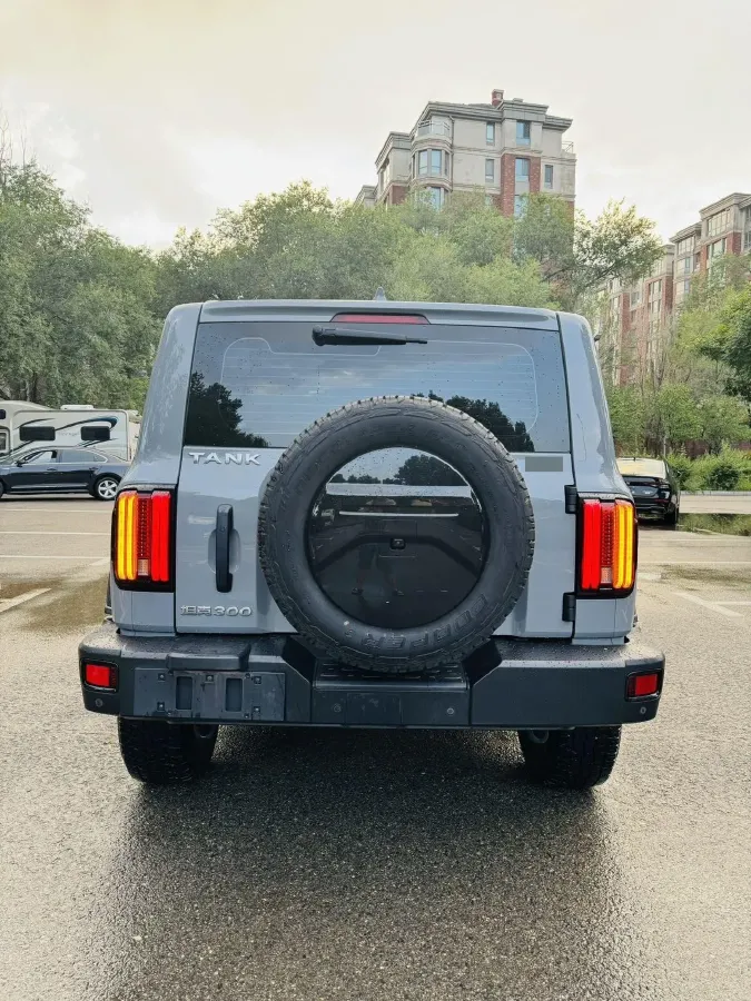 2021 Tank 300 2.0T 227HP L4 8AT,autocango,china used car exporter,china ev exporter,chinese used car exporter,chinese used ev exporter
