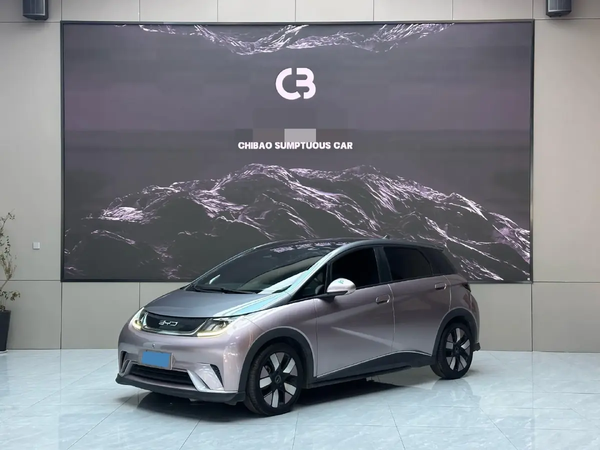2021 BYD e2 BEV 43.2KWH
