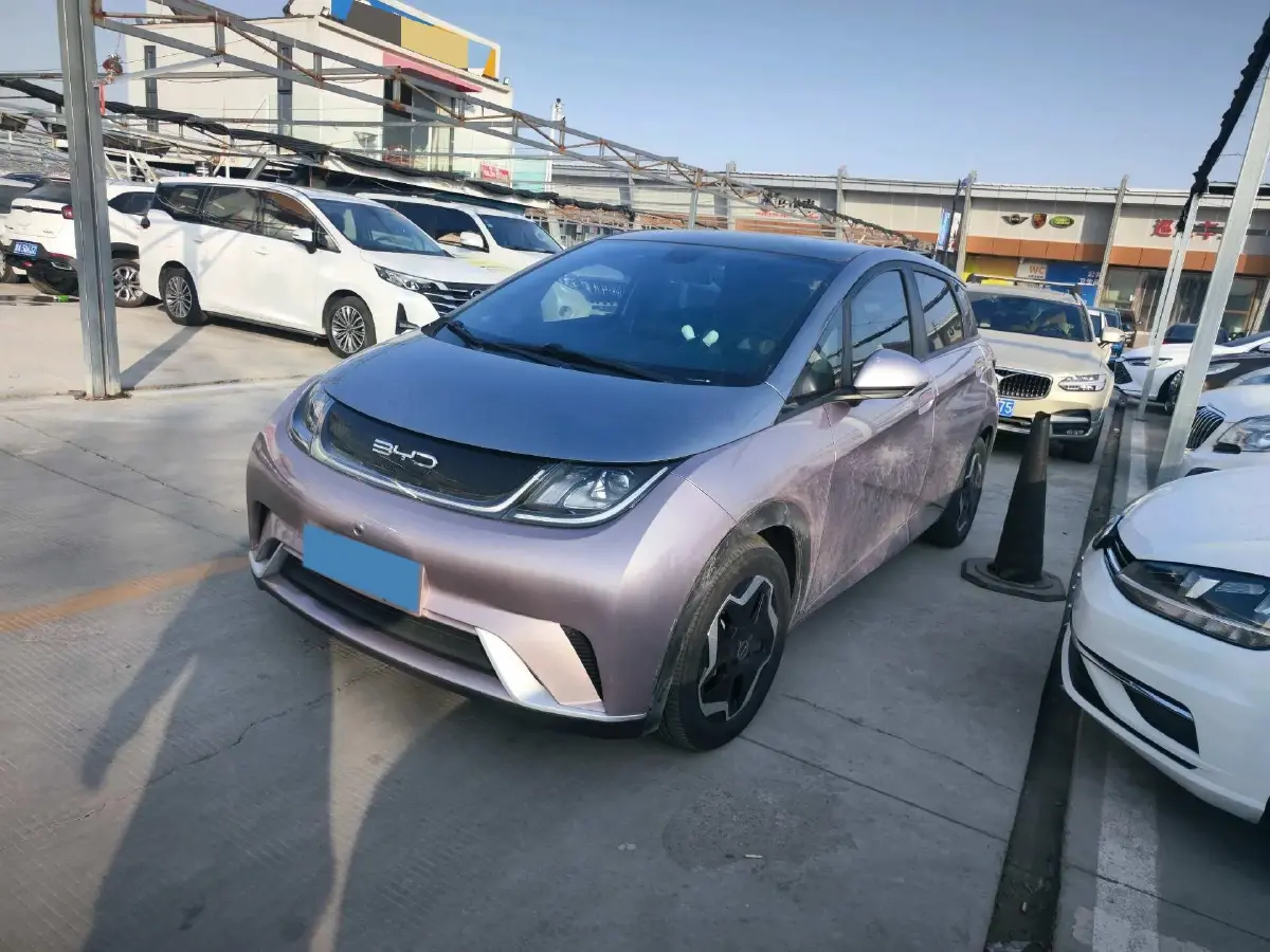 2021 BYD Yuan Pro BEV 50.1KWH