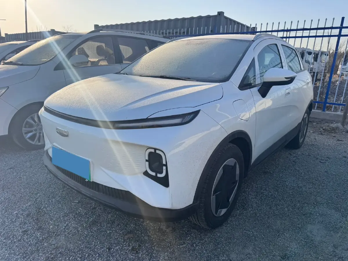 2024 Geometry E BEV 29.67KWH