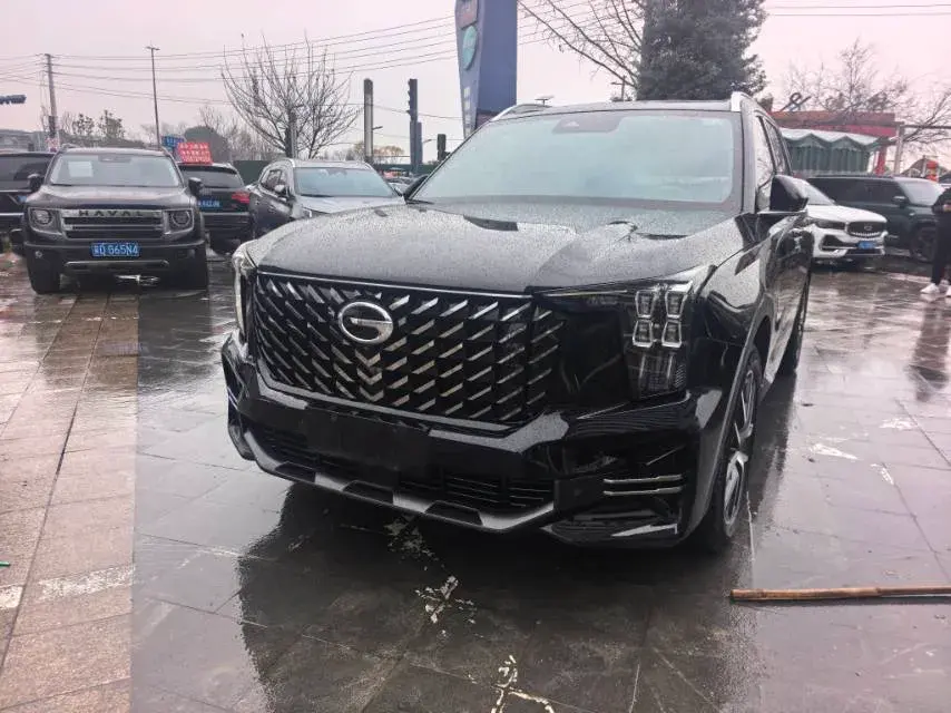 2022 GAC Trumpchi GS8 2.0T 252HP L4 8AT