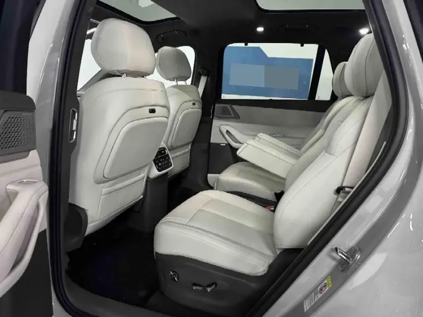 2025 Denza DenzaN8L 2.0T 207HP L4 E-CVT PHEV,autocango,china used car exporter,china ev exporter,chinese used car exporter,chinese used ev exporter