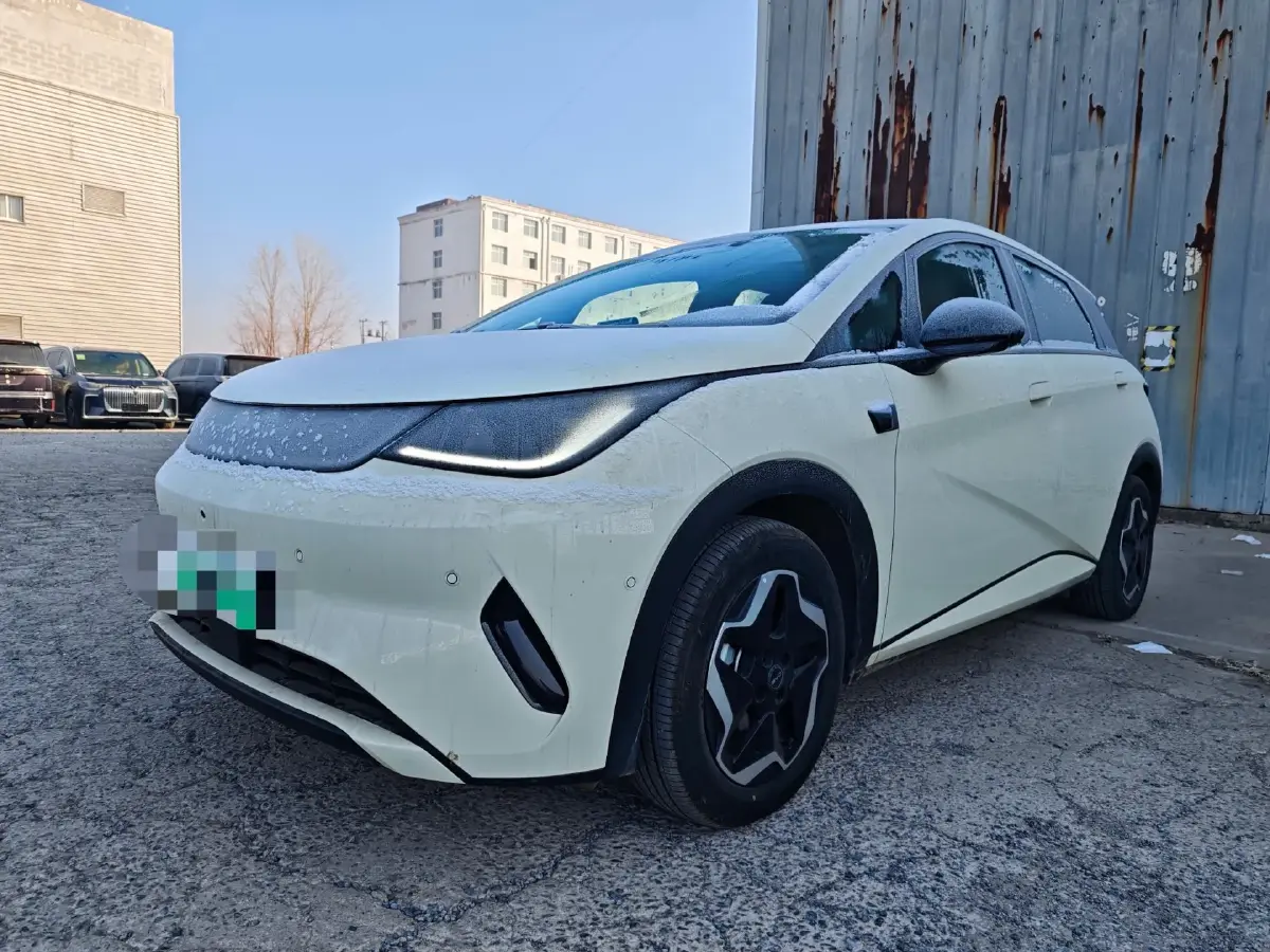 2025 BYD Dolphin BEV 45.12KWH