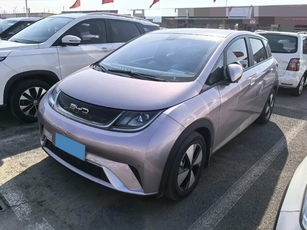 2023 BYD Dolphin BEV 44.928KWH
