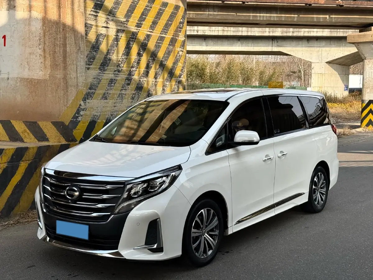 2020 GAC Trumpchi M8 2.0T 252HP L4 8AT